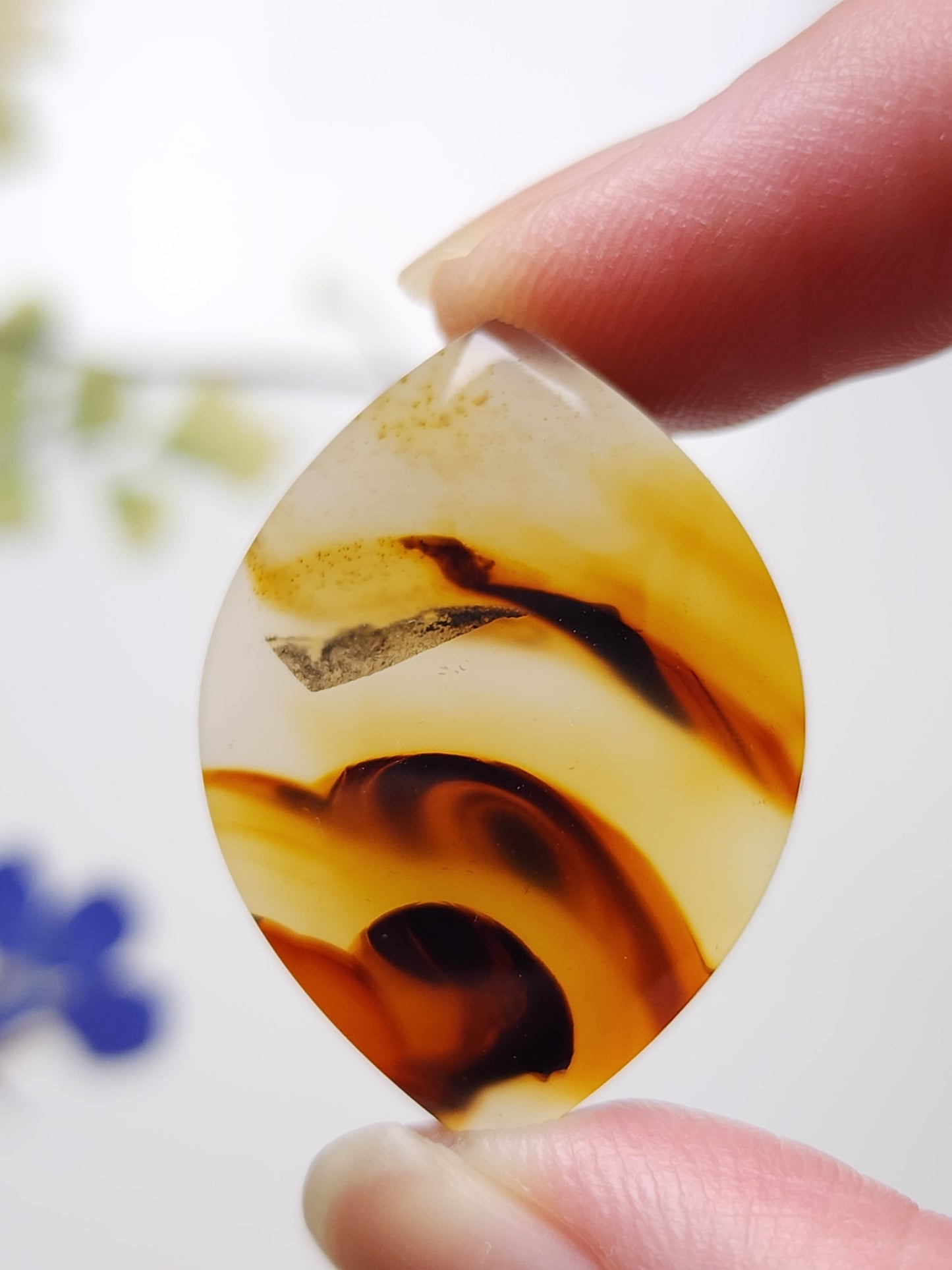 Montana agate