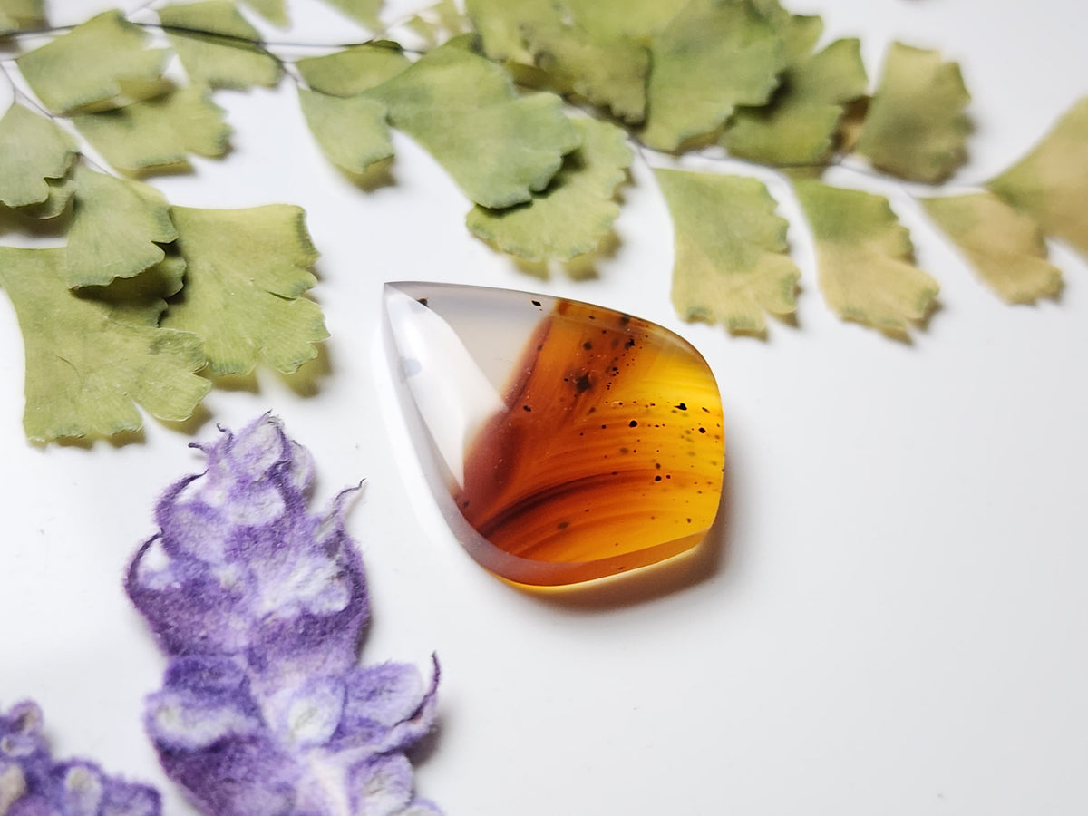 Montana agate