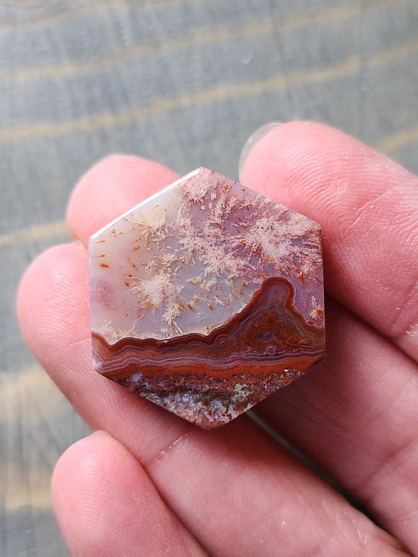 Rincon lace agate