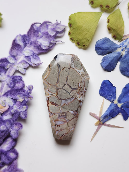 Brecciated Ibis jasper coffin