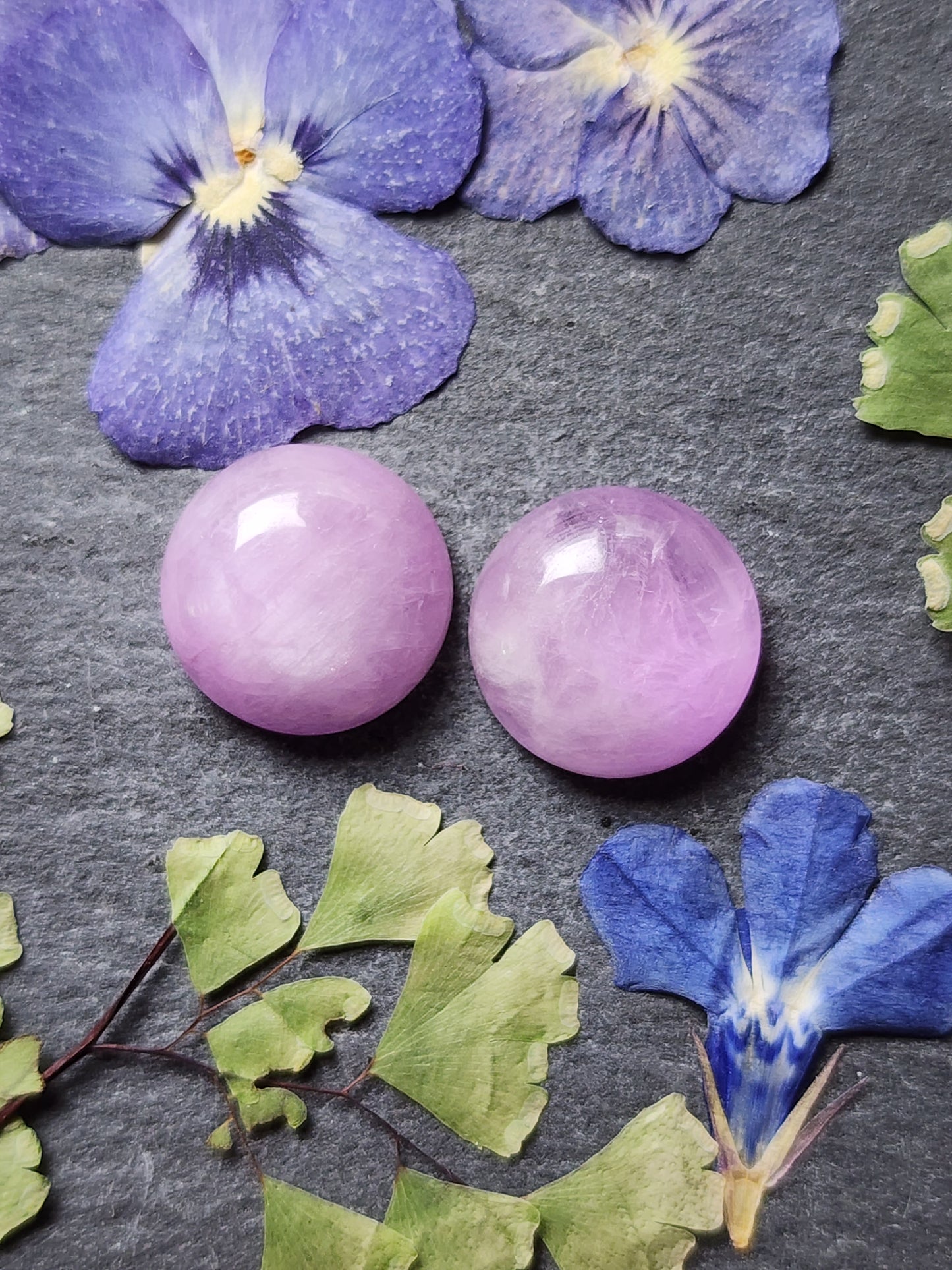 Lavender Kunzite pair