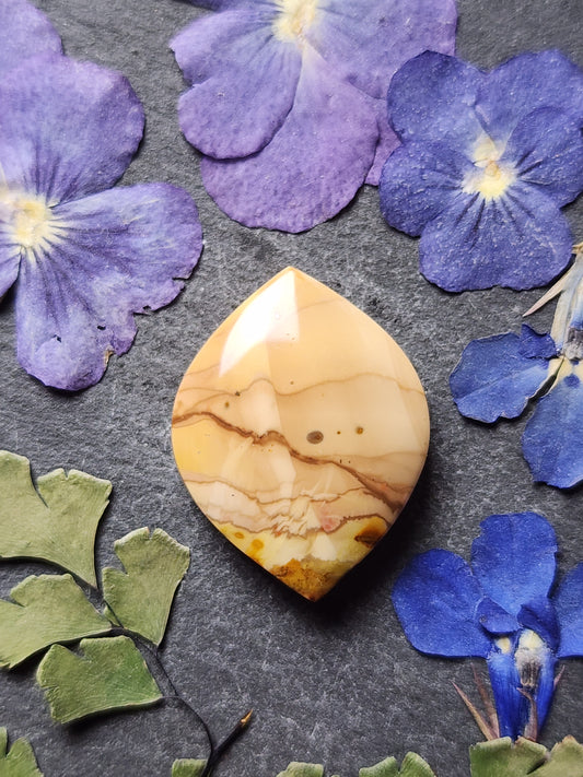Willow Creek jasper