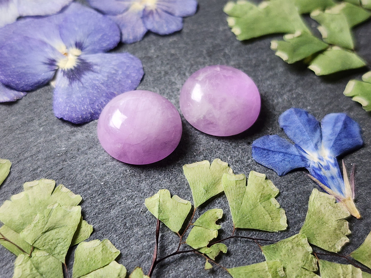 Lavender Kunzite pair