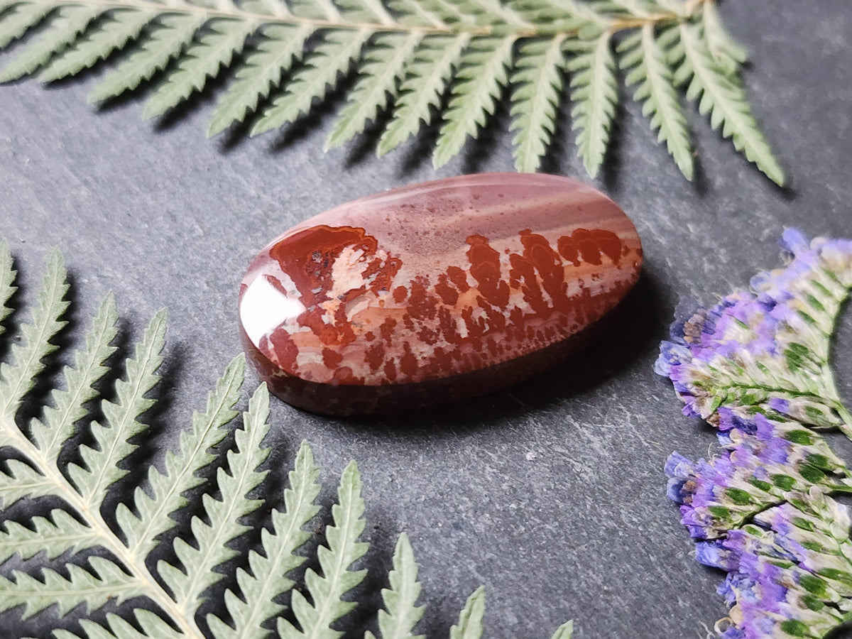 Mimbres Valley Apache Dendritic Rhyolite