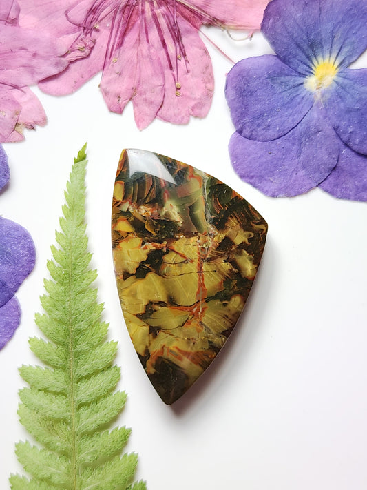 Carrasite jasper