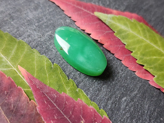Australian Chrysoprase