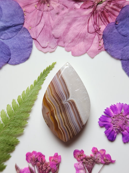 Agua Nueva agate
