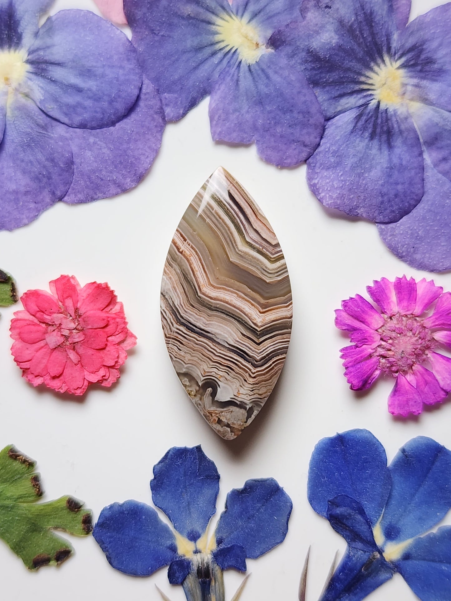 Laguna lace agate