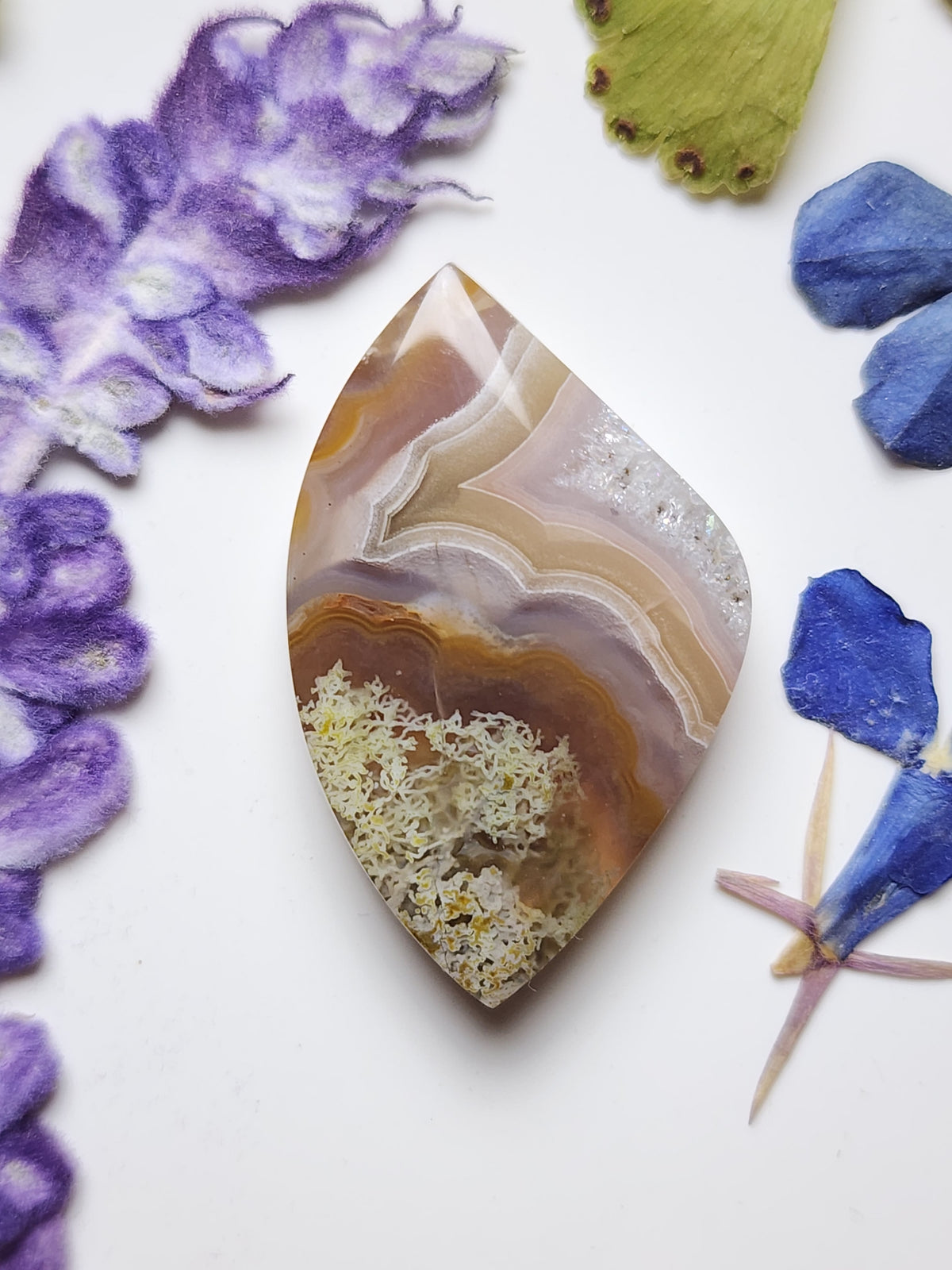 Agua Nueva agate