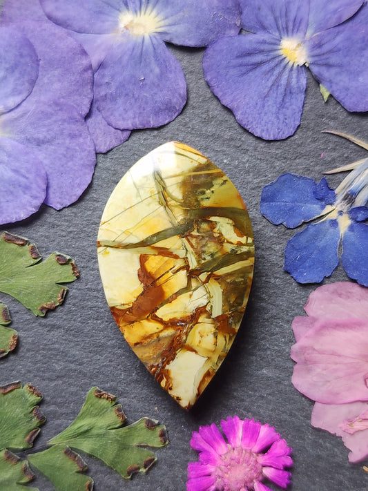 Morrisonite jasper