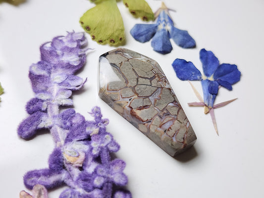 Brecciated Ibis jasper coffin