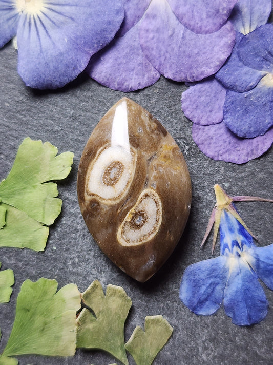 Petrified palm wood