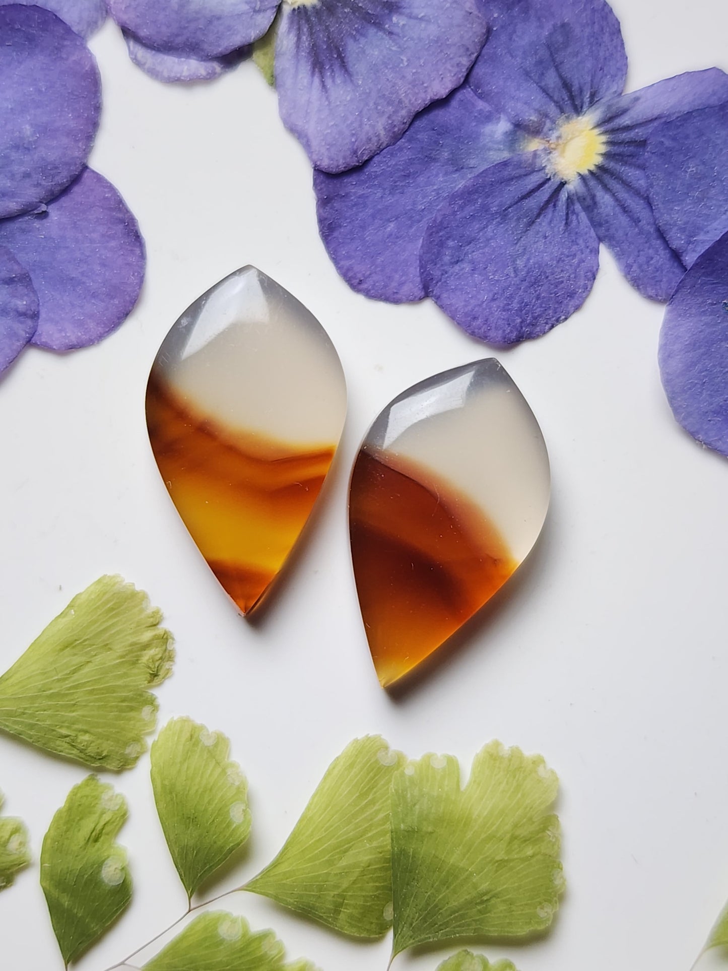 Montana agate pair