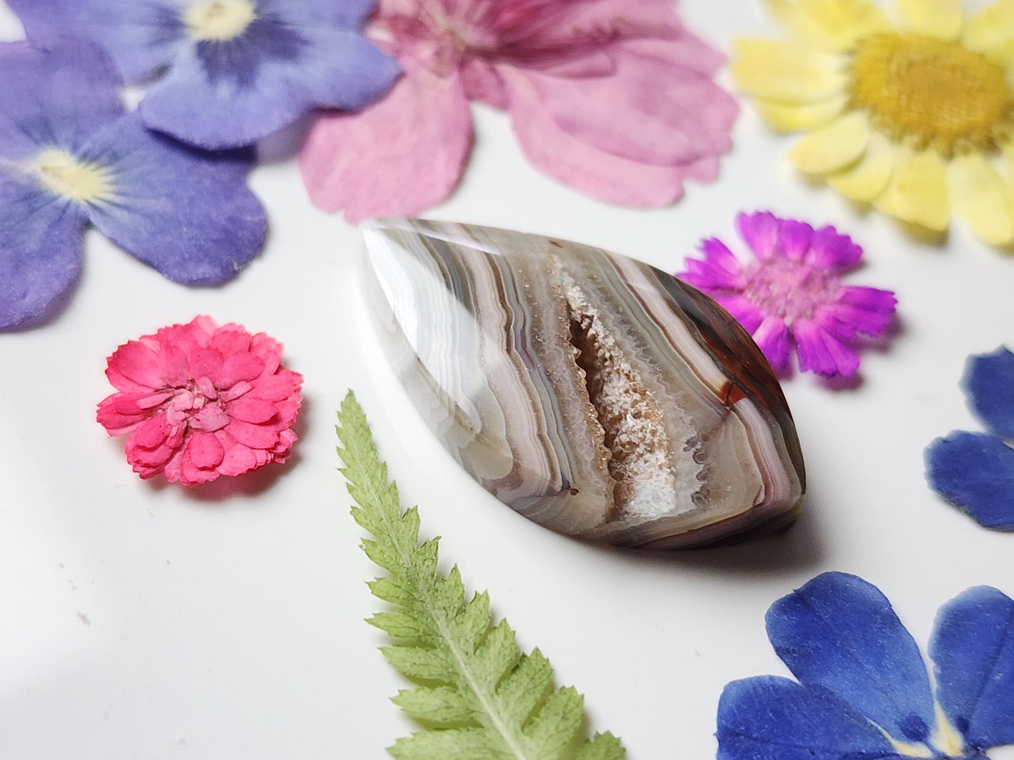 Laguna lace agate with crystal edge