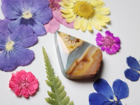Polychrome jasper