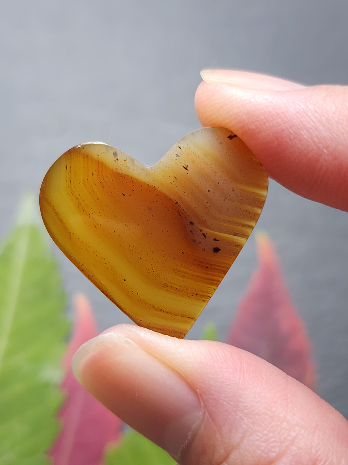 Montana agate heart
