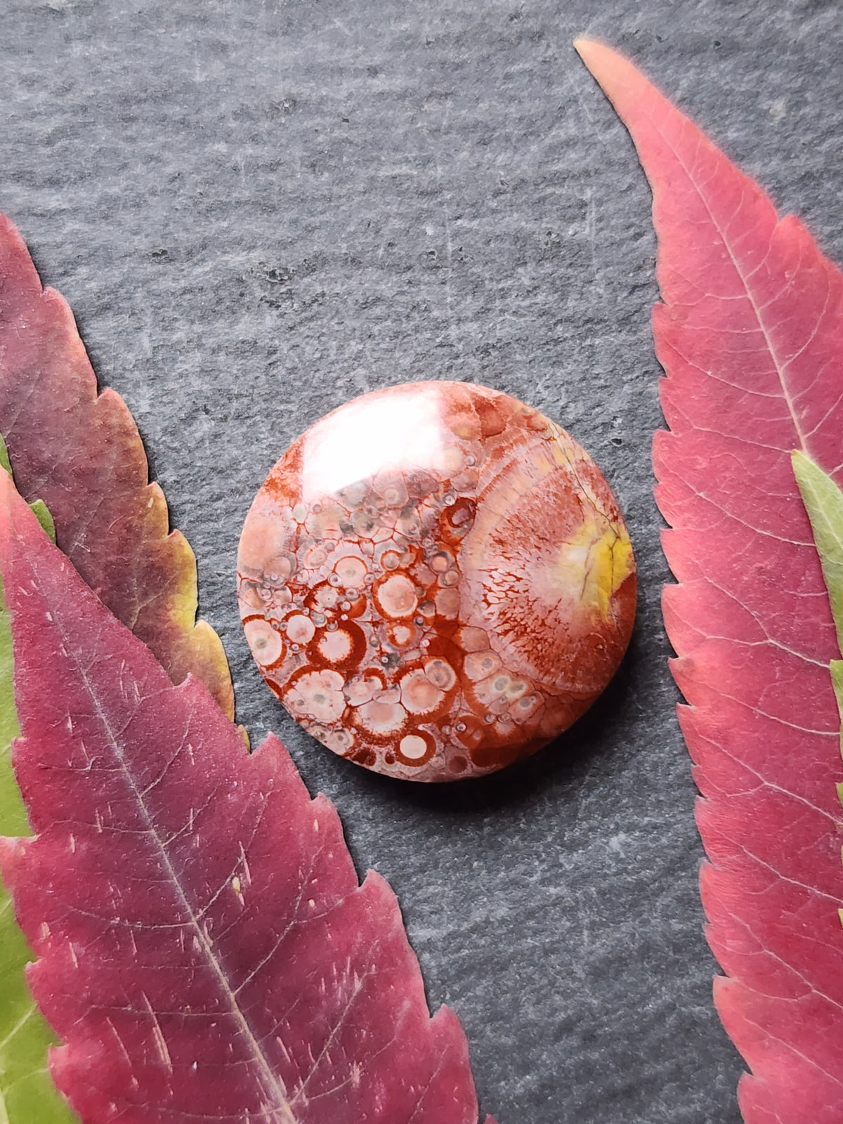Galaxy Rhyolite