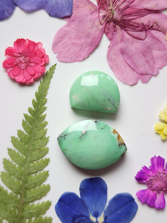 Australian Variscite