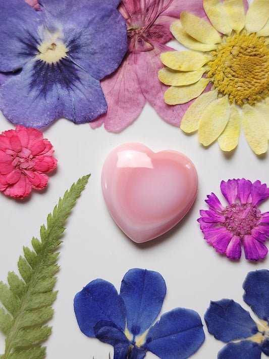Pink Conch shell heart