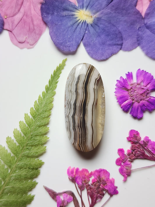 Laguna lace agate