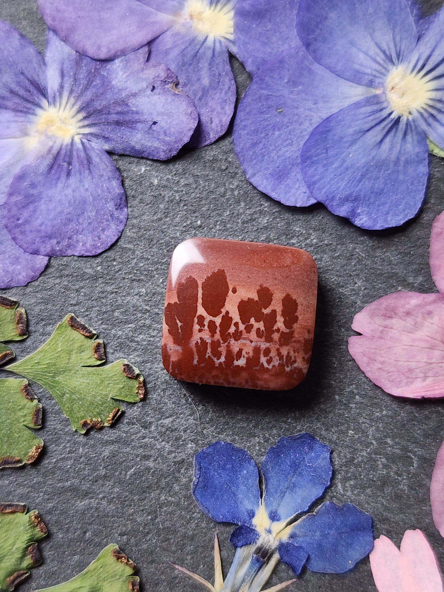 Mimbres Valley Apache Dendritic Rhyolite