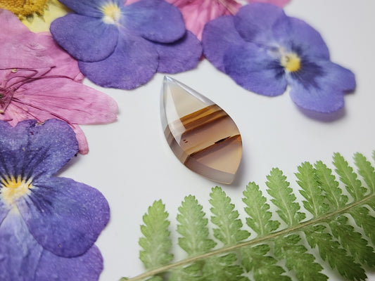 Montana agate