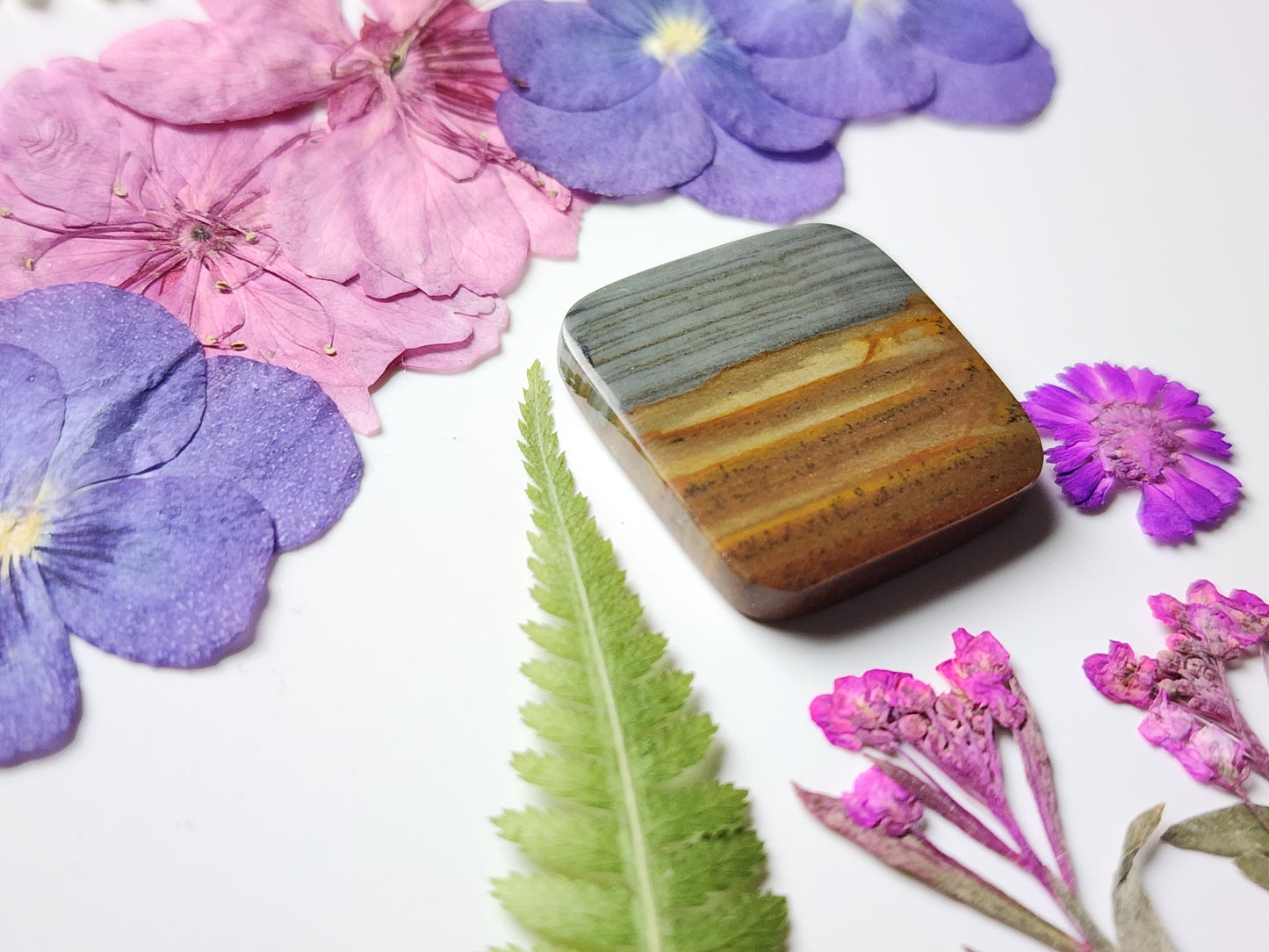 Spring mountain picture jasper