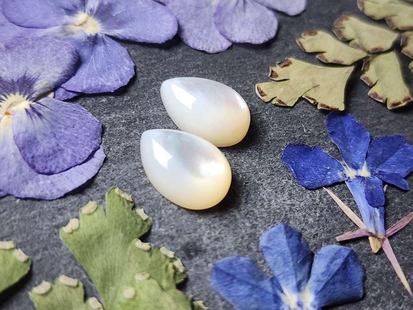 Mother of pearl shell pair (A2)