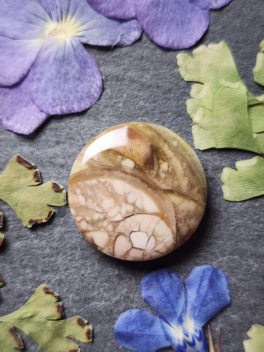 Royal Imperial jasper