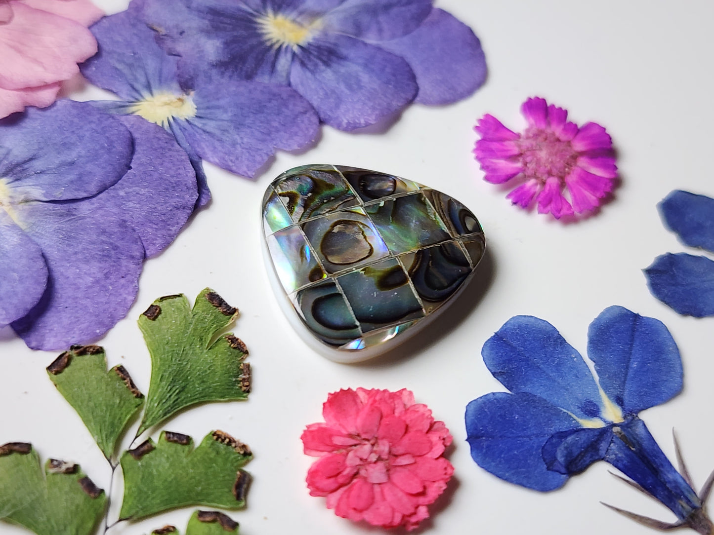 Mosaic Abalone shell