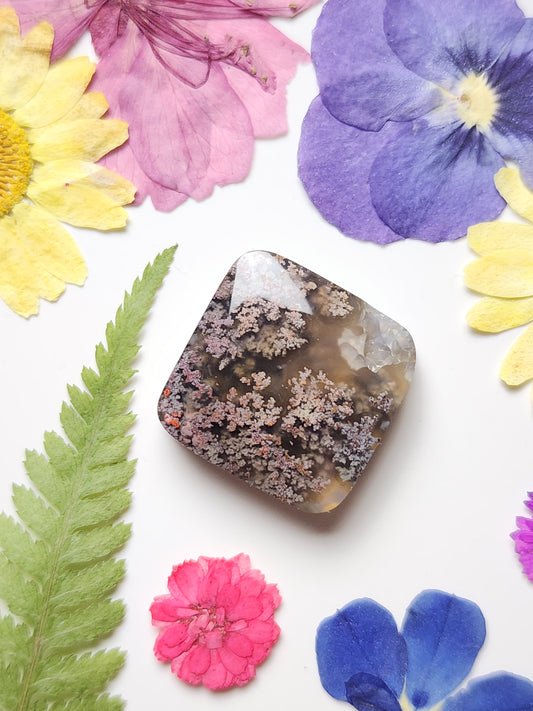 Garden Moss agate with Botryoidal