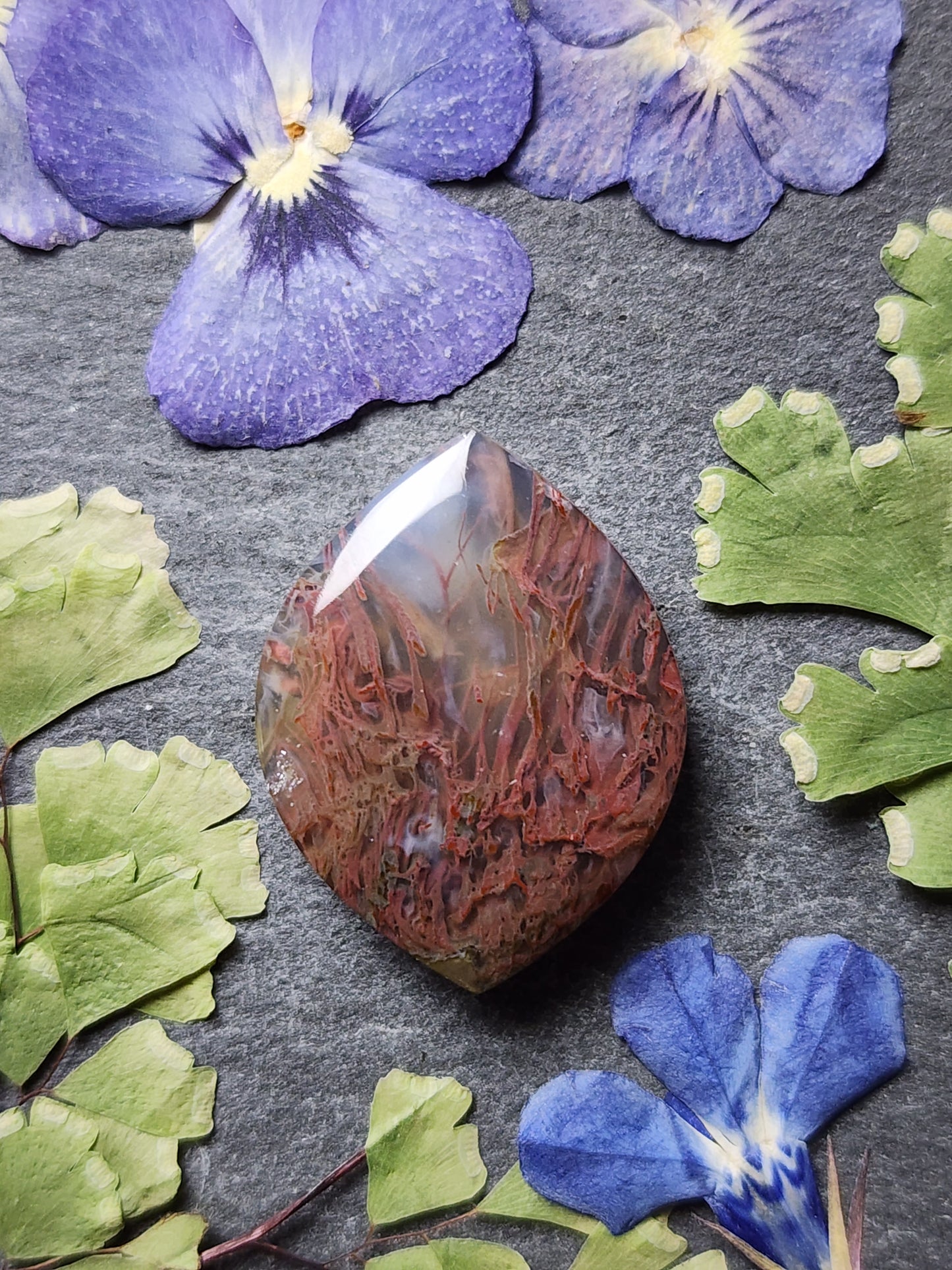 Priday Thunderegg moss agate