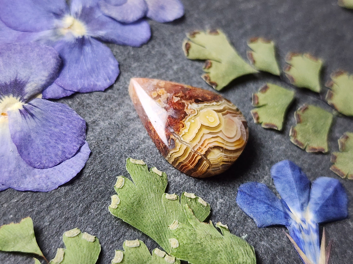 Laguna lace agate