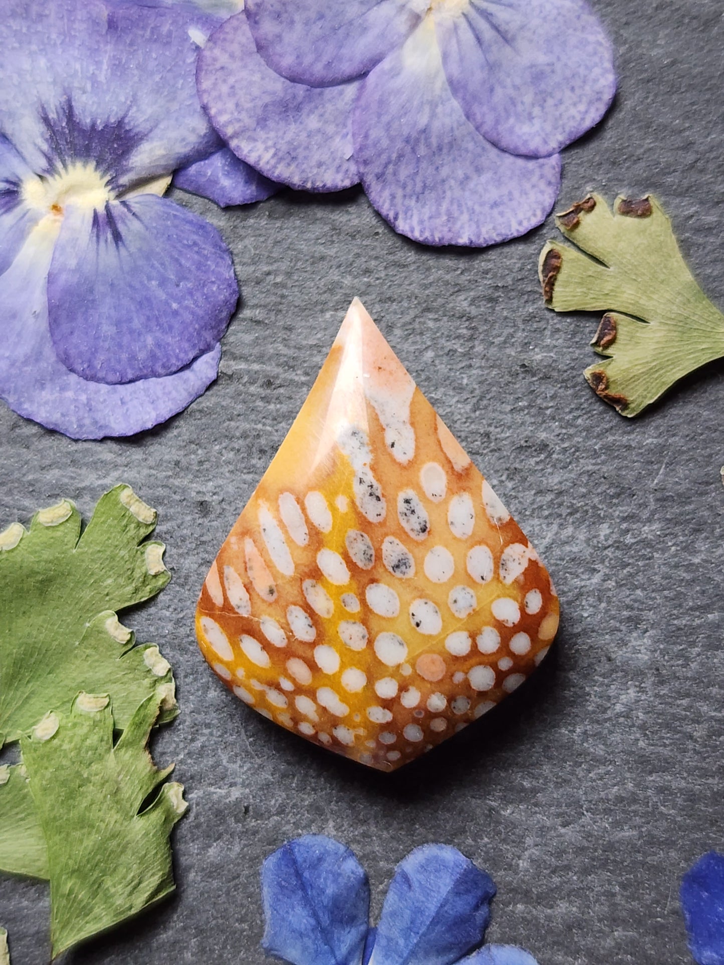 Spotted Fawn jasper