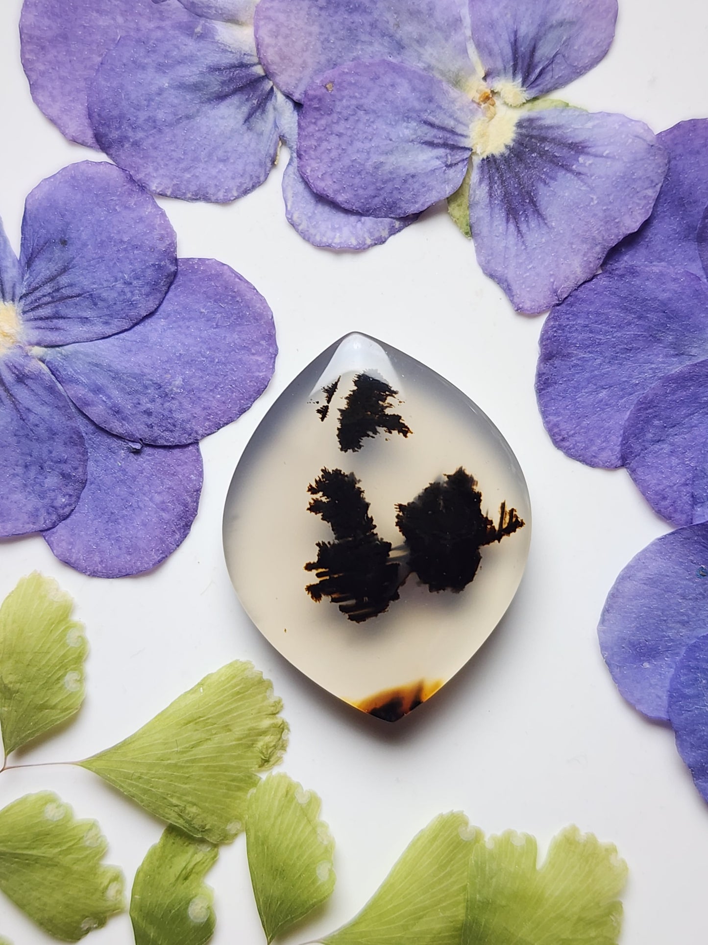 Montana agate