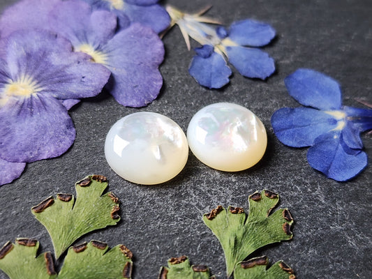 Mother of pearl shell pair (A1)