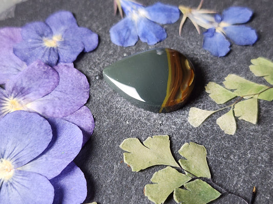 Blue Mountain jasper