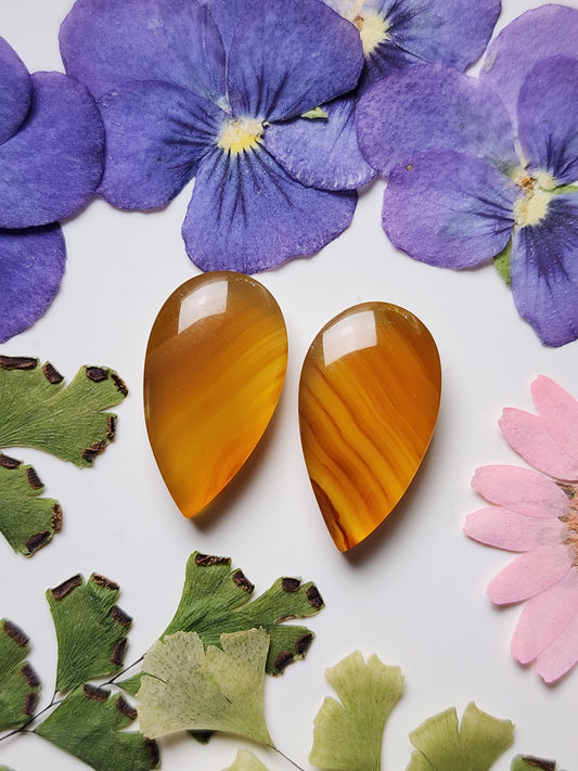 Montana agate pair