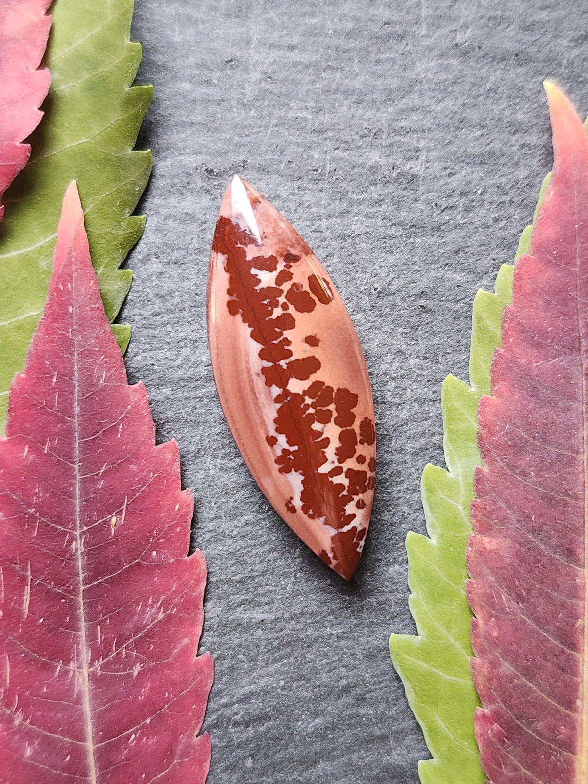 Apache dendritic rhyolite