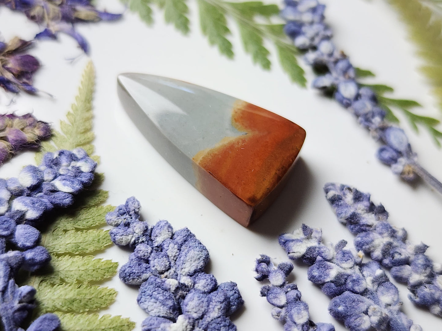 Polychrome jasper