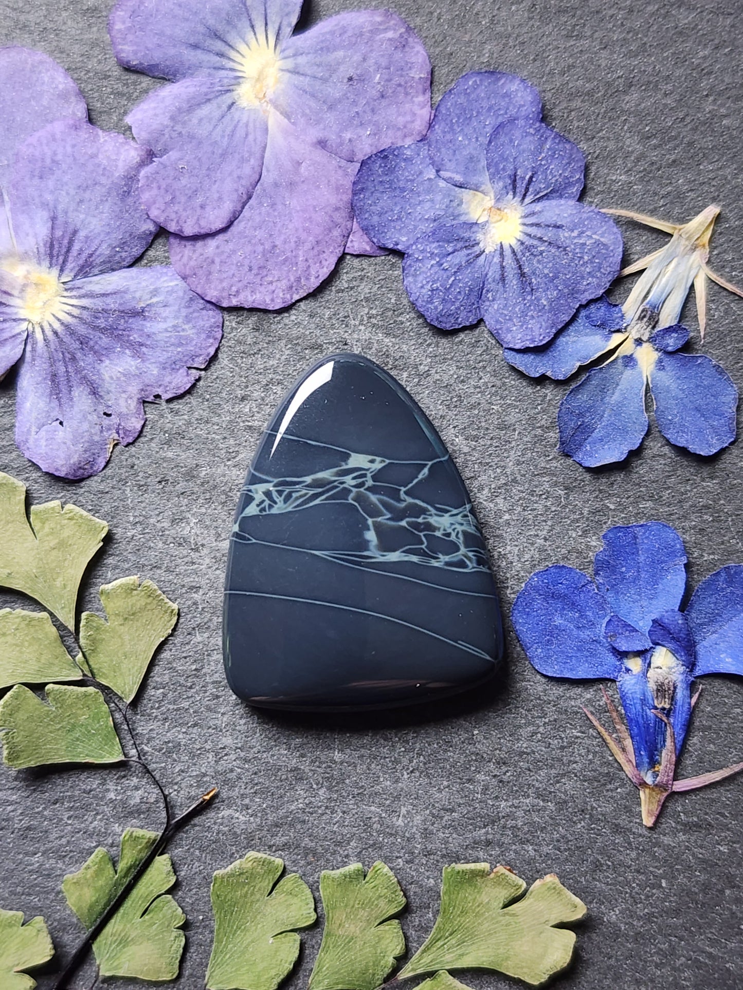 SpiderWeb Obsidian