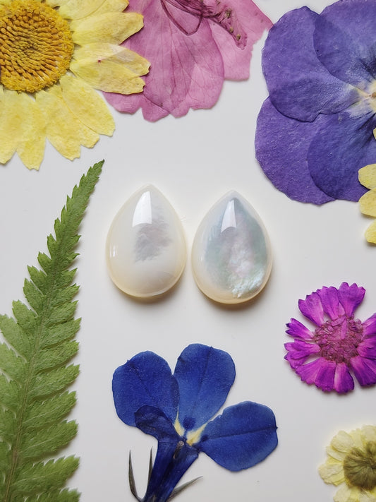Mother of pearl shell pair