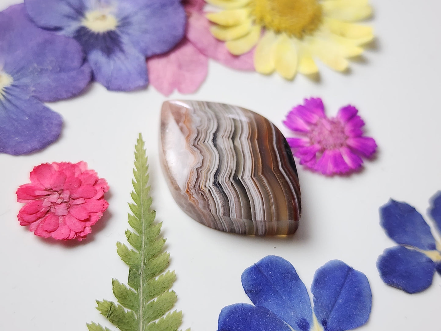 Laguna lace agate