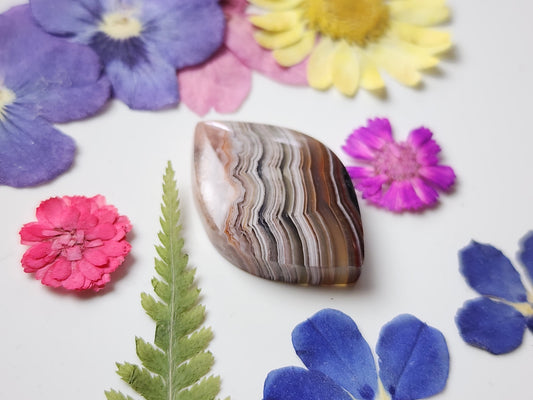Laguna lace agate