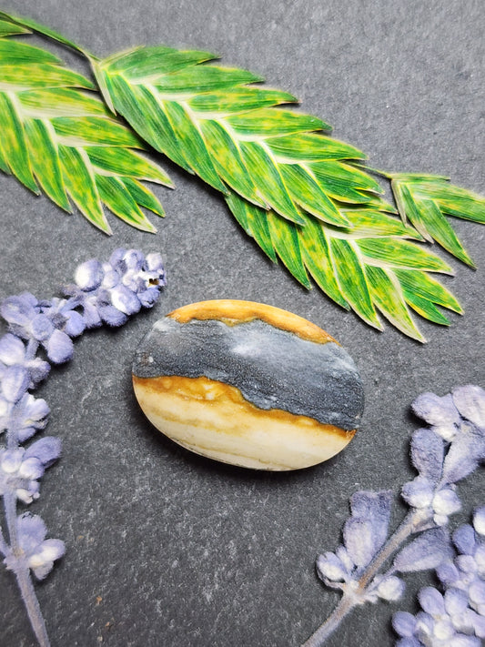 Starry night picture jasper