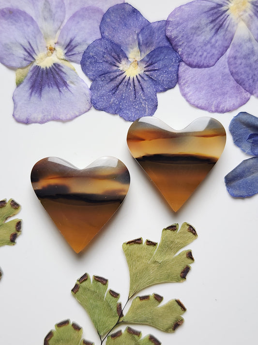 Montana agate heart pair