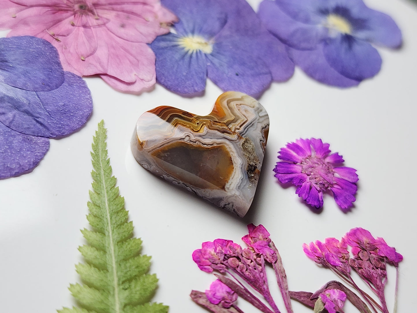 Laguna lace agate heart