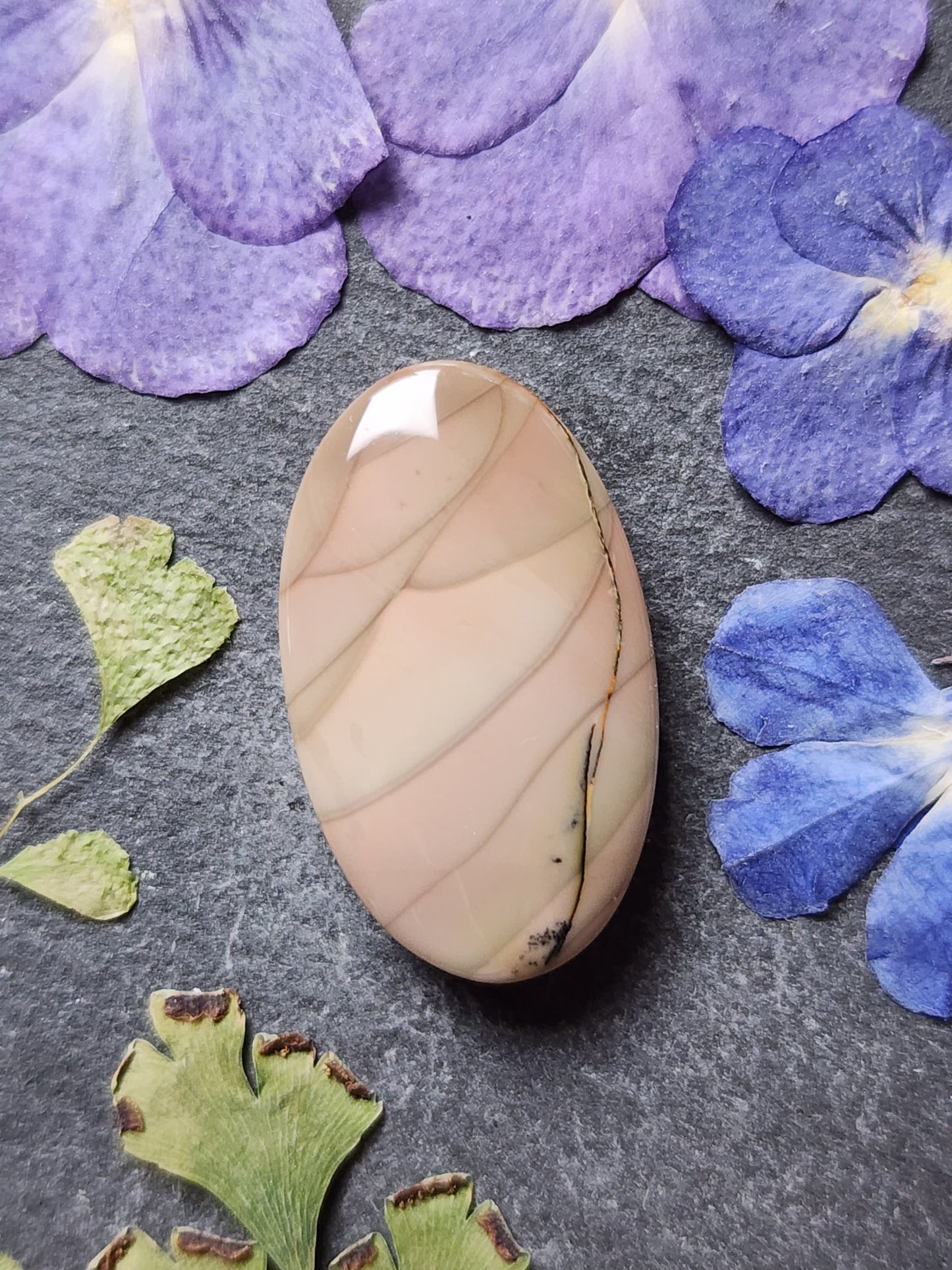 Willow Creek jasper