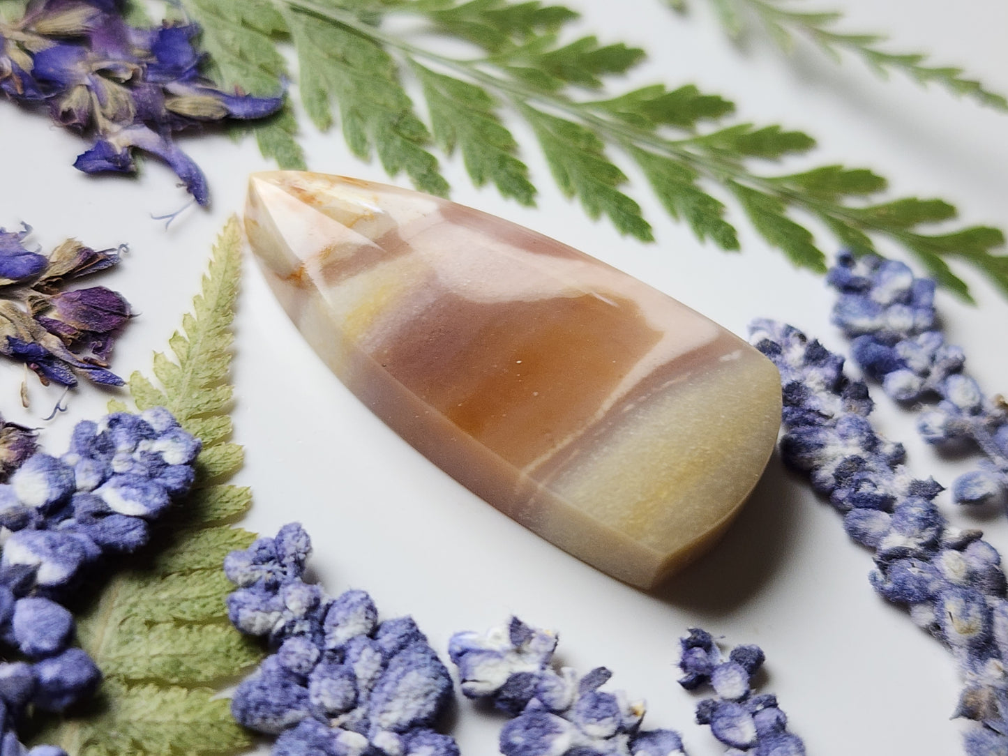 Polychrome jasper