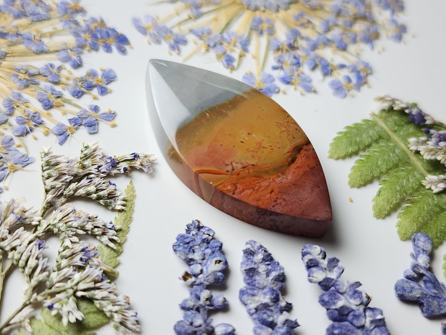 Polychrome jasper
